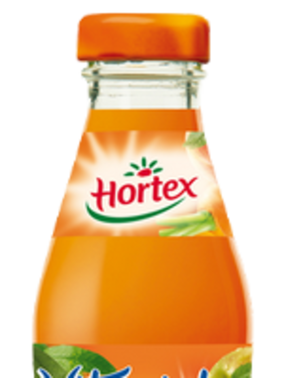 Hortex, sok Vitaminka