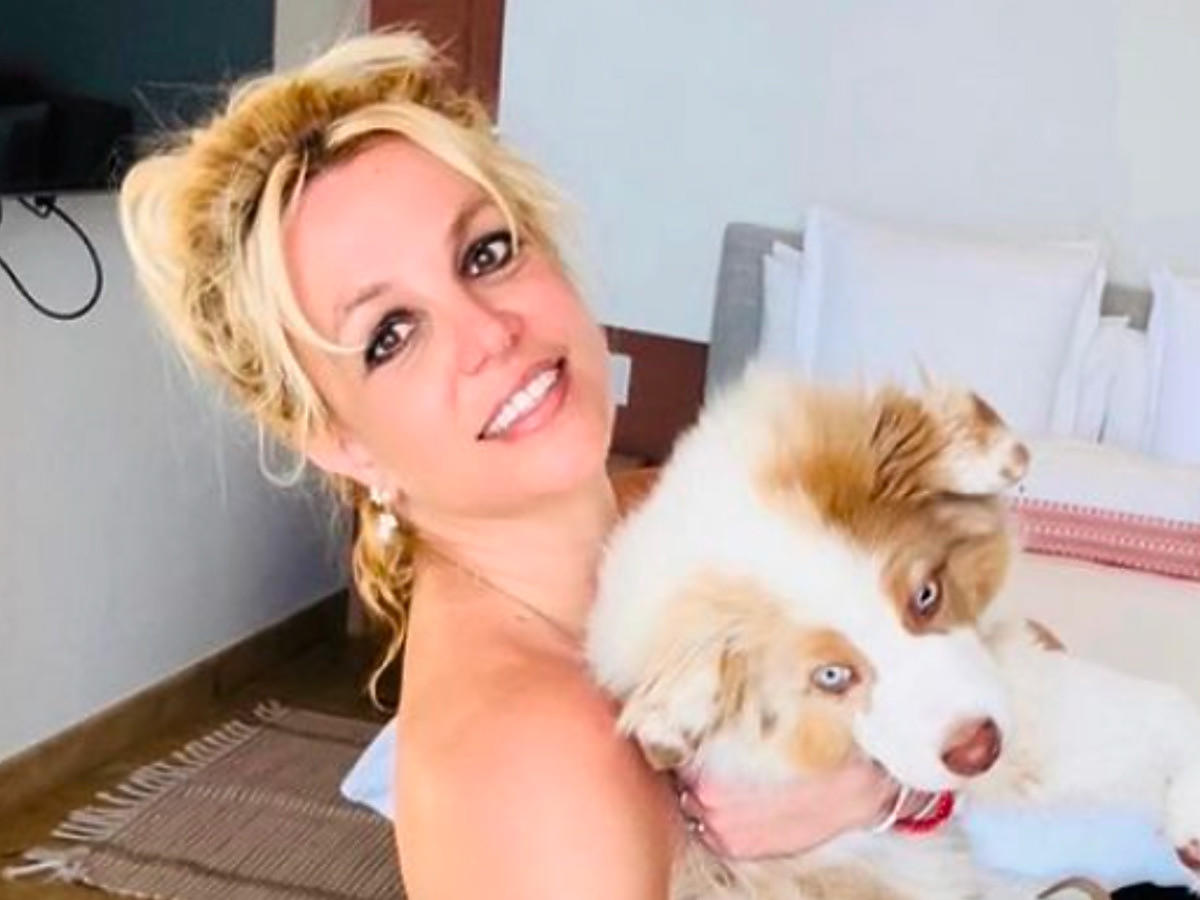 Britney Spears pozuje bez ubrań, zasłaniając się tylko szczeniakiem. Fani: "nie jest z nią w porządku"