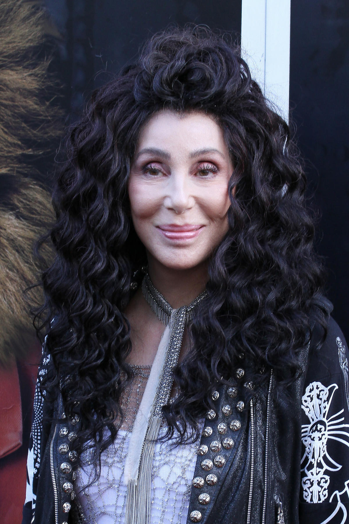 Cher w 2018 roku