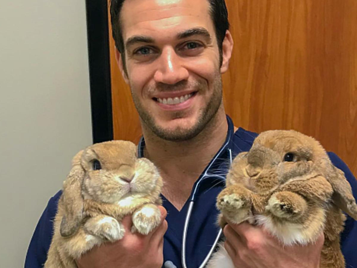 Evan Antin