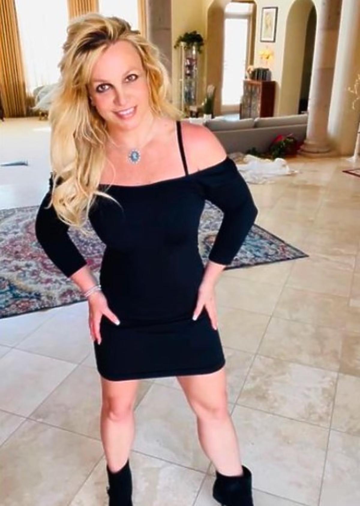 Naga Britney Spears pozuje zasłaniając się szczeniakiem