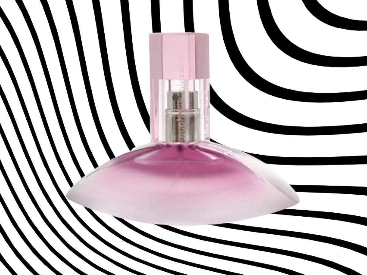 Perfumy Euphoria Blossom Calvin Klein