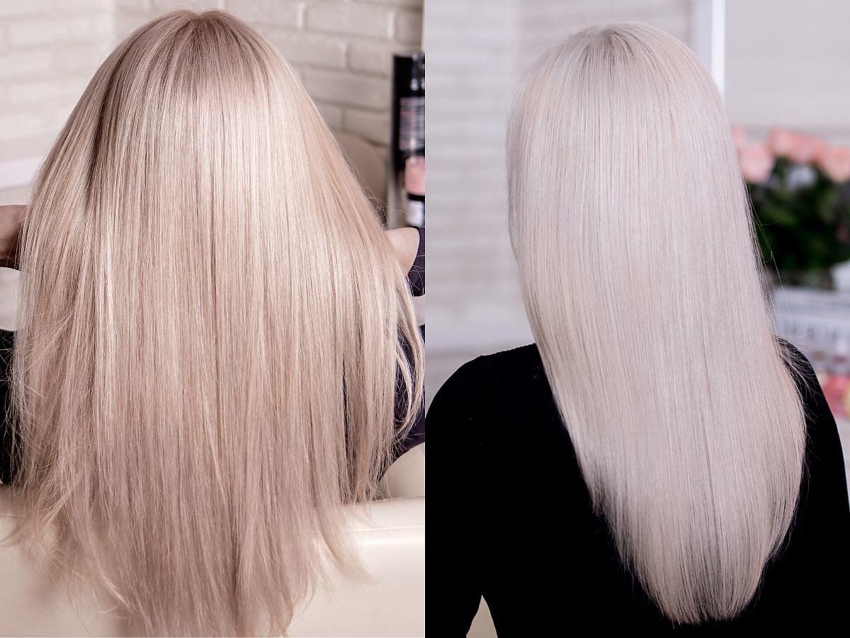 Tonujący szampon do blondu daje efekt jak po koloryzacji za 500 zł u fryzjera! Żółte tony znikają po 1 użyciu 